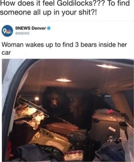 someone all up in your shlt 9INEWS Denver Woman wakes up to find 3 bears inside her car