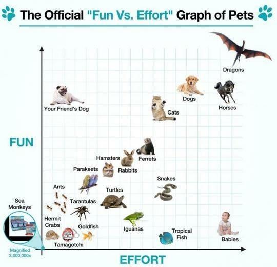 The Official Fun Vs Effort Graph of Pets Dragons u g Gy o FUN T s 38 1S e TP Monkeys M t o 3 2 45 eey g B el b3