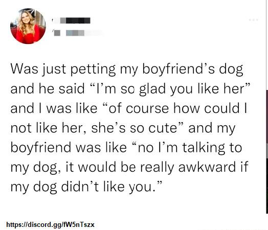 Was just petting my boyfriends dog and he said Im sc glad you like her and was like of course how could not like her shes so cute and my boyfriend was like no Im talking to my dog it would be really awkward if my dog didnt like you hitpsidiscordggWsnTszx