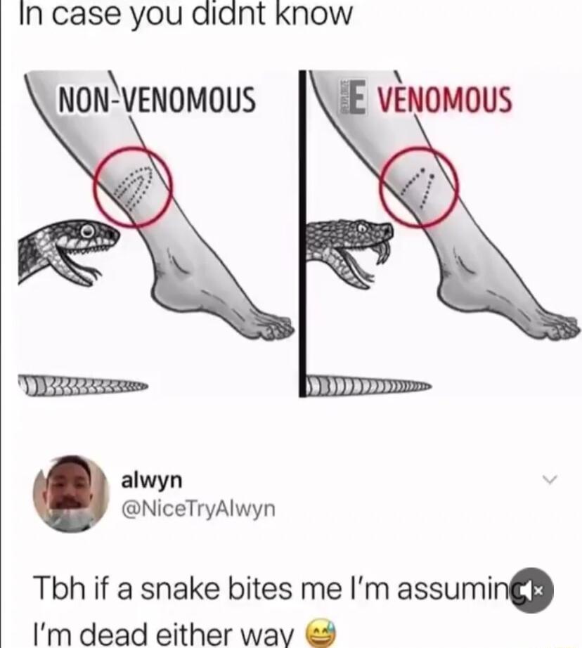 In case you didnt Know NONVENOMOUS alwyn NiceTryAlwyn Tbh if a snake bites me Im assumiro Im dead either way