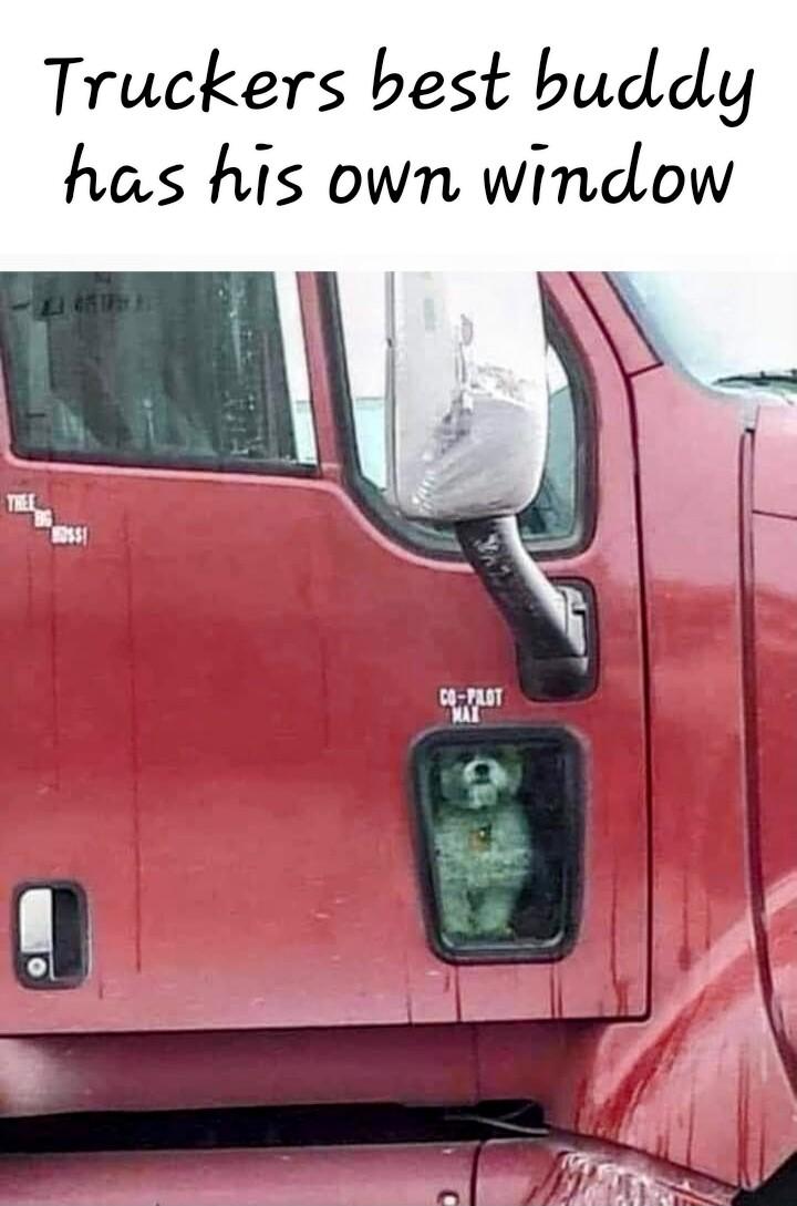 Truckers best buddy has his own window