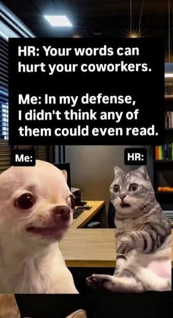 HR: Your words can hurt your coworkers. Me: In my defense, I didn't think any of them could even read. Me: HR: