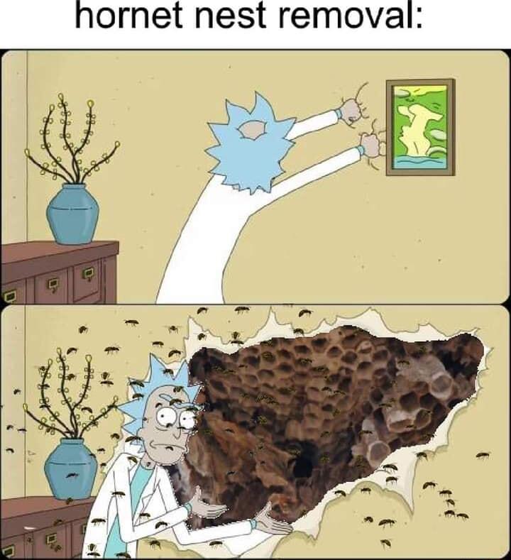 hornet nest removal