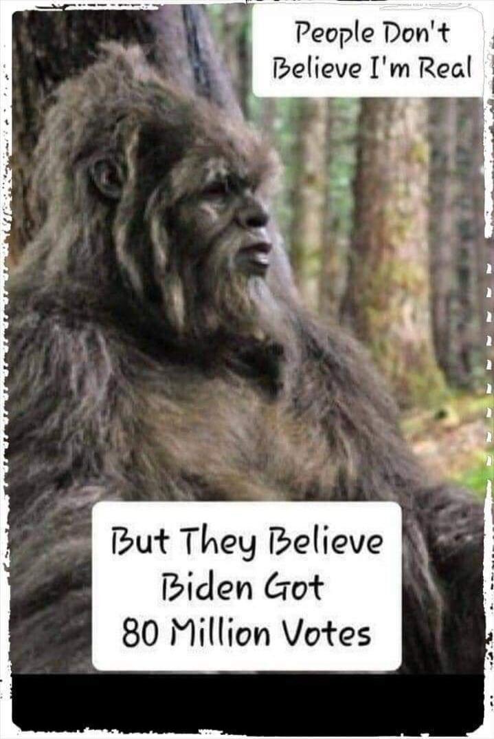 People Don't Believe I'm Real But They Believe Biden Got 80 Million Votes