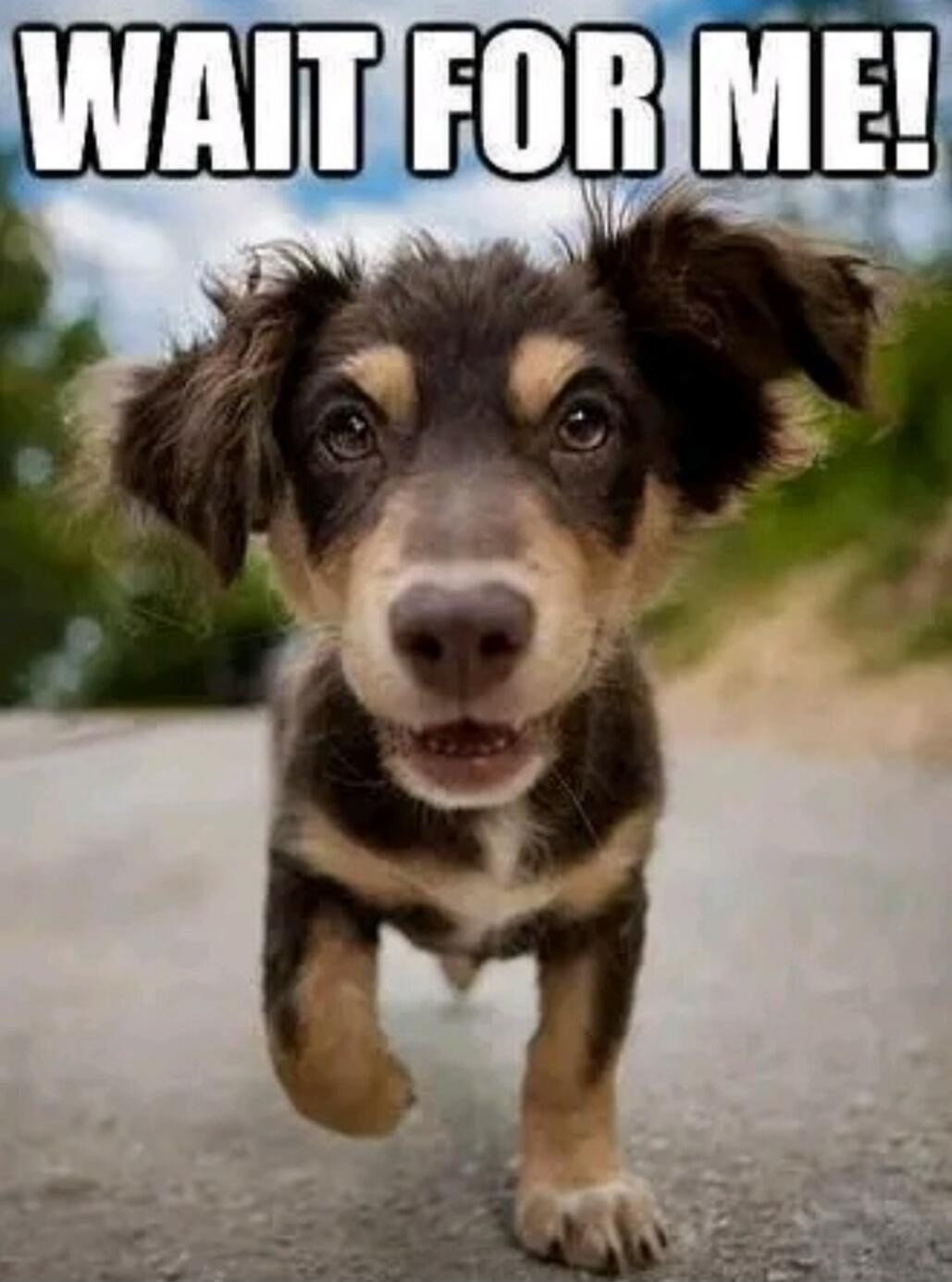 WAIT FOR ME!