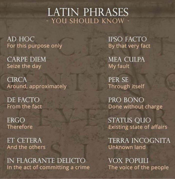 LATIN PHRASES YOU SHOULD KNOW AD HOC For this purpose only CARPE DIEM Seize the day CIRCA Around approximately DE FACTO From the fact aNele Therefore ET CETERA And the others IN FLAGRANTE DELICTO In the act of committing a crime 1PSO FACTO By that very fact MEA CULPA My fault PER SE Through itself PRO BONO Done without charge STATUS QUO Existing state of affairs TERRA INCOGNITA Unknown land VOX PO