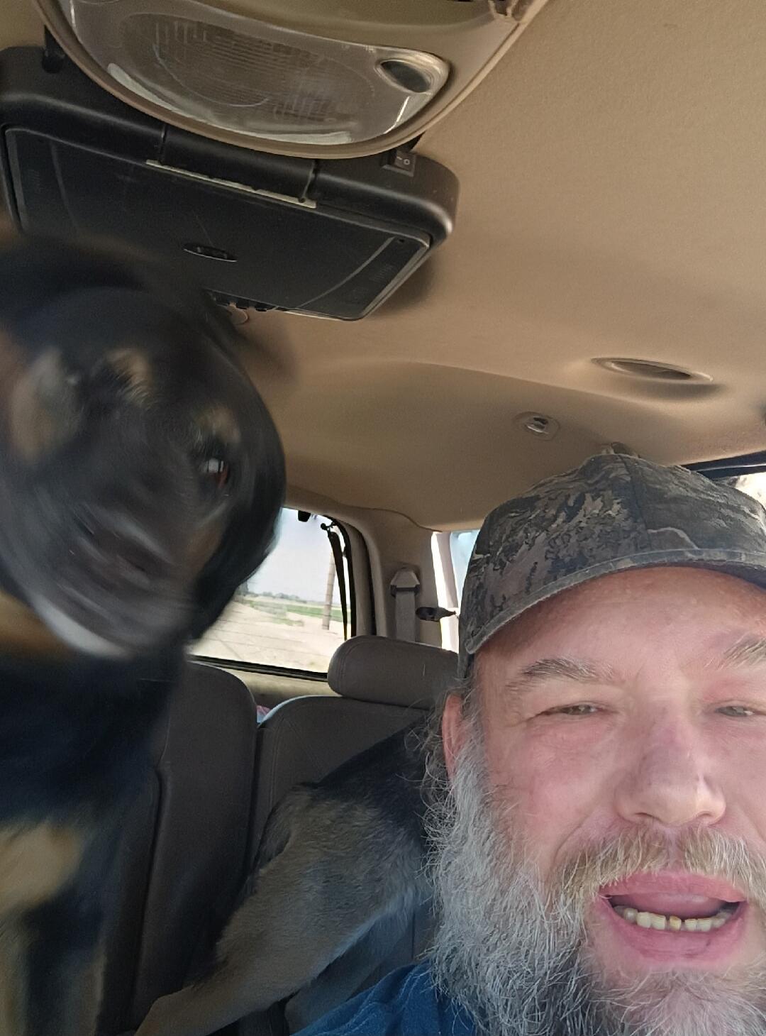 A man and a dog in a car, the dog's head is blurred from movement.
