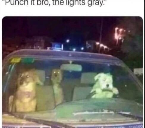 Punch it bro, the lights gray.