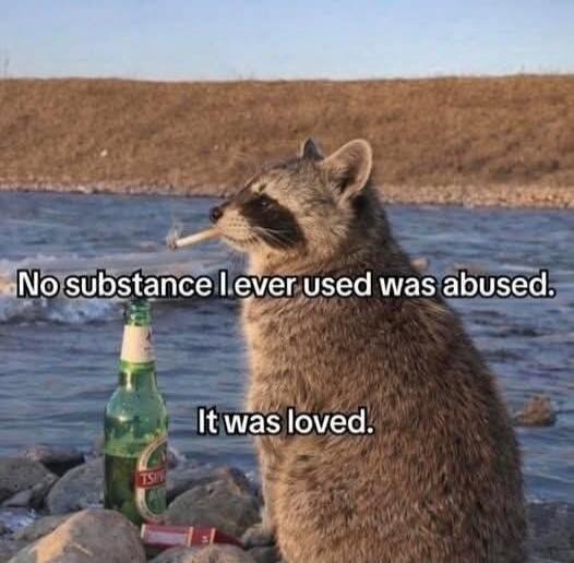 No substance I ever used was abused. It was loved.