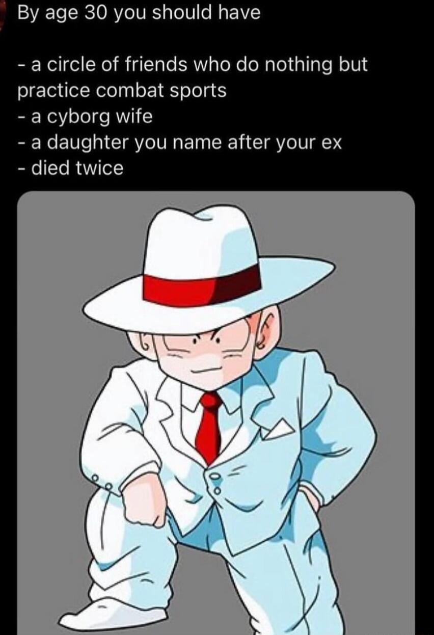 By age 30 you should have acircle of friends who do nothing but practice combat sports a cyborg wife a daughter you name after your ex R RU