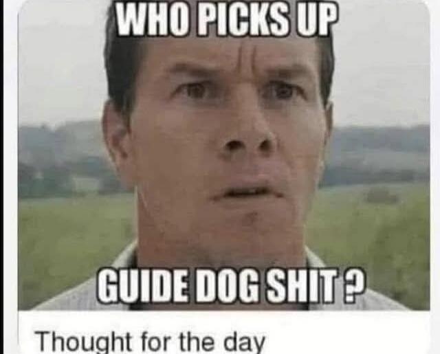 WHO PICKS UP GUIDE DOG SHIT? Thought for the day