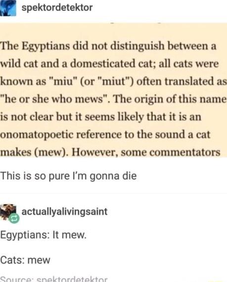 spektordetektor The Egyptians did not distinguish between a wild cat and a domesticated cat all cats were known as miu or miut often translated as he or she who mews The origin of this name is not clear but it seems likely that it is an onomatopoetic reference to the sound a cat makes mew However some commentators This is so pure Im gonna die actuallyalivingsaint Egyptians It mew Cats mew B s s i 