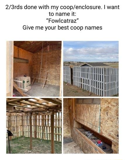 23rds done with my coopenclosure want to name it Fowlcatraz Give me your best coop names