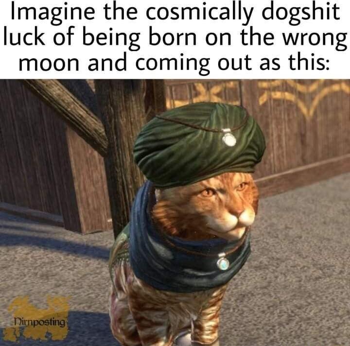 Imagine the cosmically dogshit luck of being born on the wrong moon and coming out as this