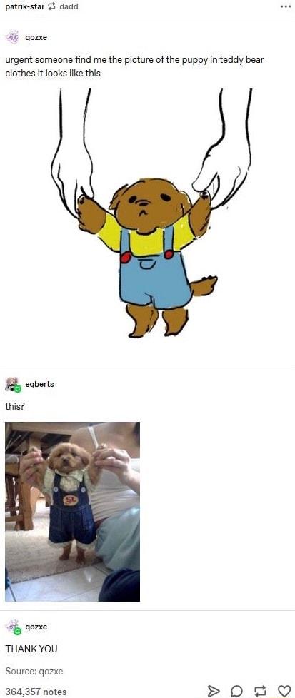 patrik star 5 dadd 4 qomee urgent someane find me the picture of the puppy in teddy bear clothes it looks like this 4y aozee THANK YOU Source gozxe 364357 notes 0 2
