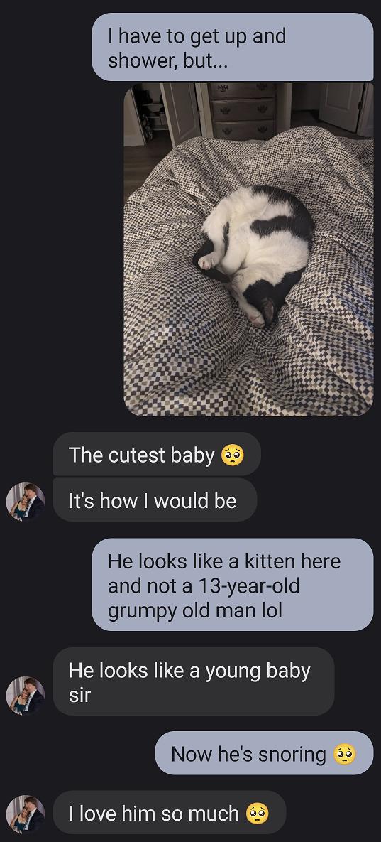 have to get up ower b LLENETES A Its how would be He looks like a kitten here and not a 13 year old grumpy old man lol He looks like a young baby y sir Now hes snoring 3 5 1love him so much