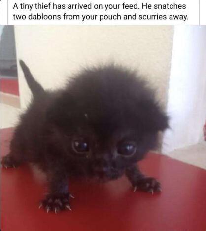 Aftiny thief has arrived on your feed He snatches two dabloons from your pouch and scurries away