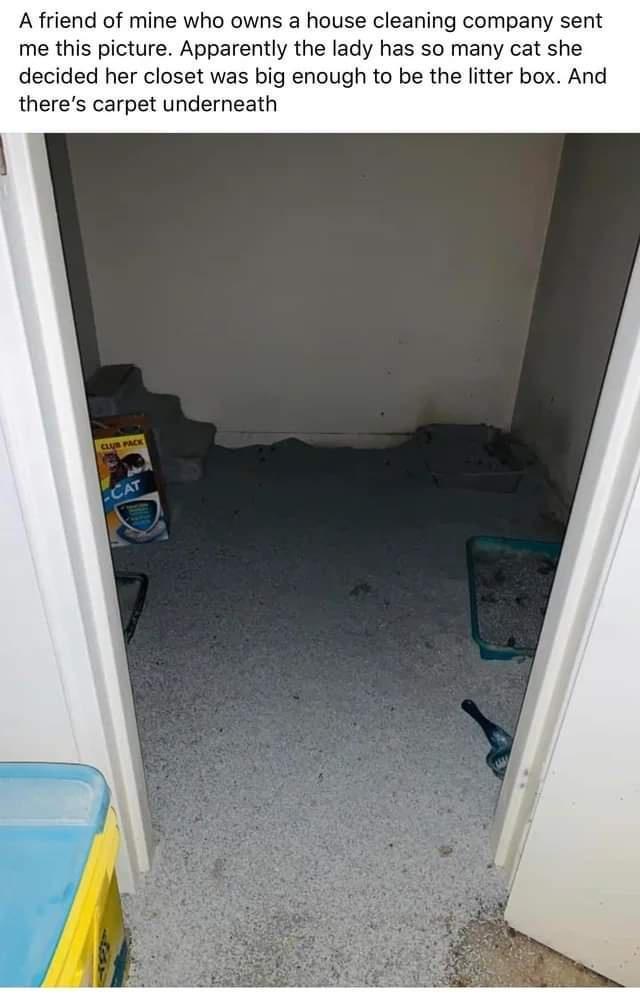 A friend of mine who owns a house cleaning company sent me this picture Apparently the lady has so many cat she decided her closet was big enough to be the litter box And theres carpet underneath