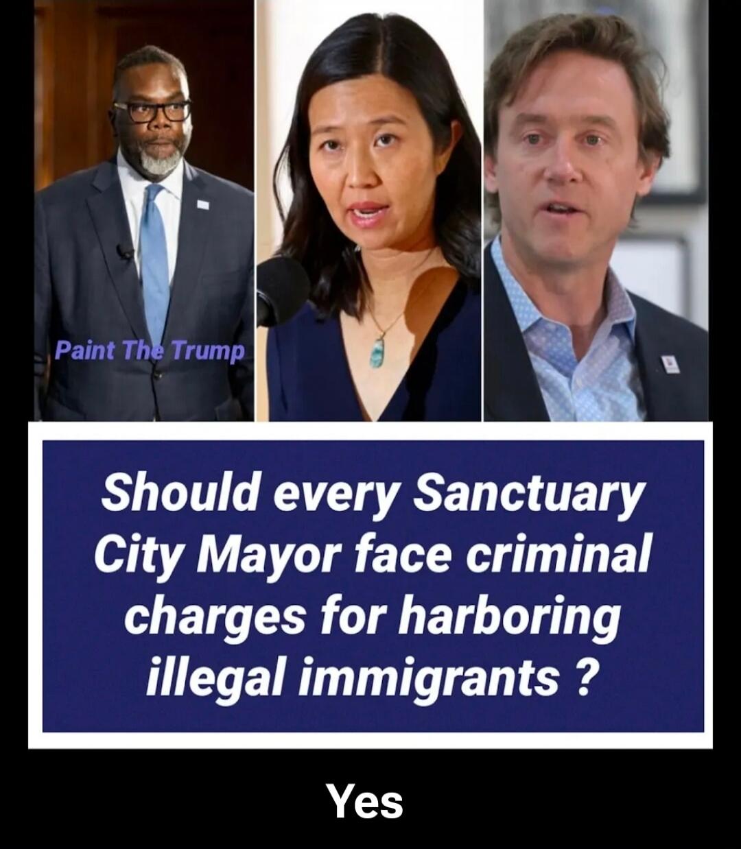 Should every Sanctuary City Mayor face criminal charges for harboring illegal immigrants ? Yes