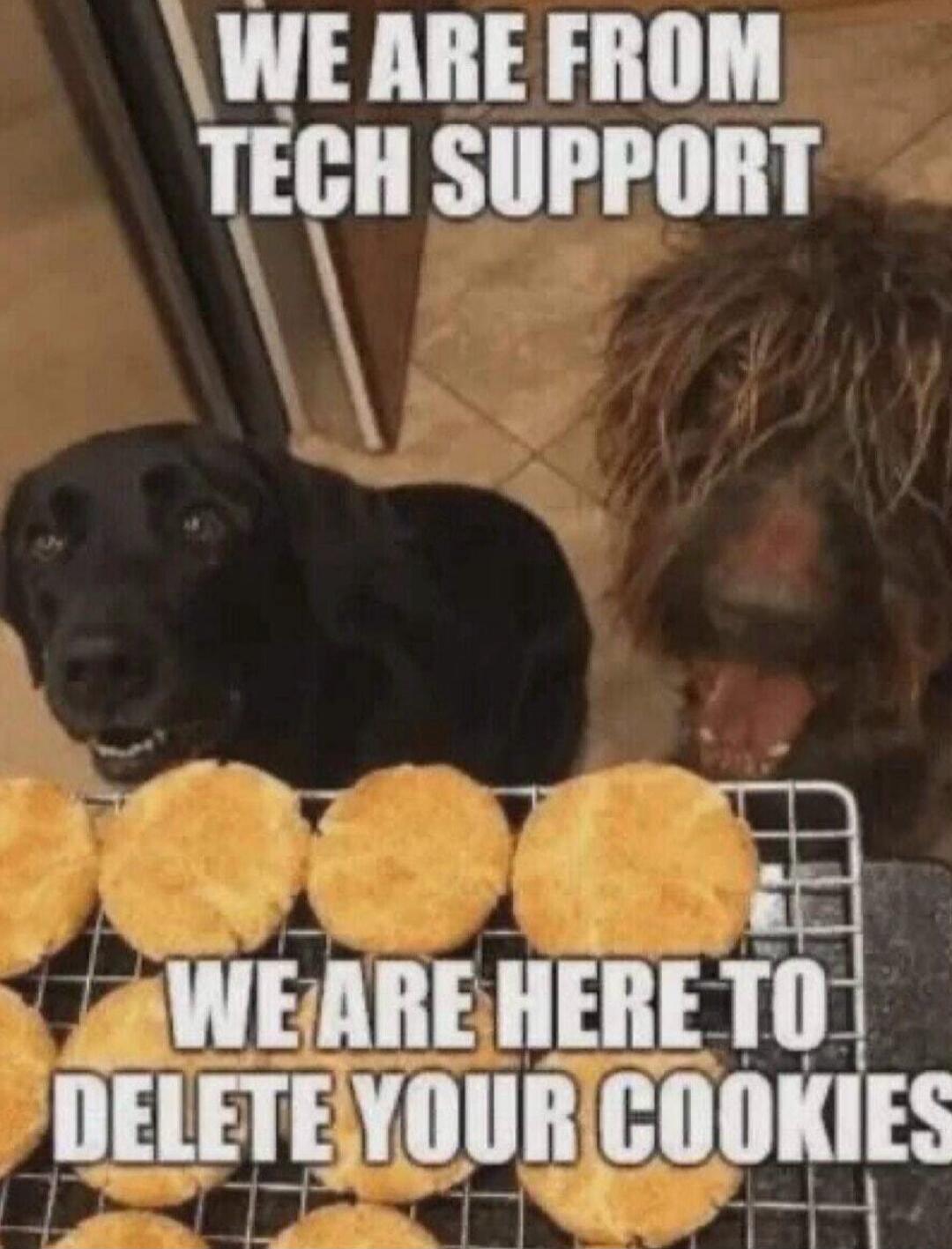 WE ARE FROM TECH SUPPORT WE ARE HERE TO DELETE YOUR COOKIES