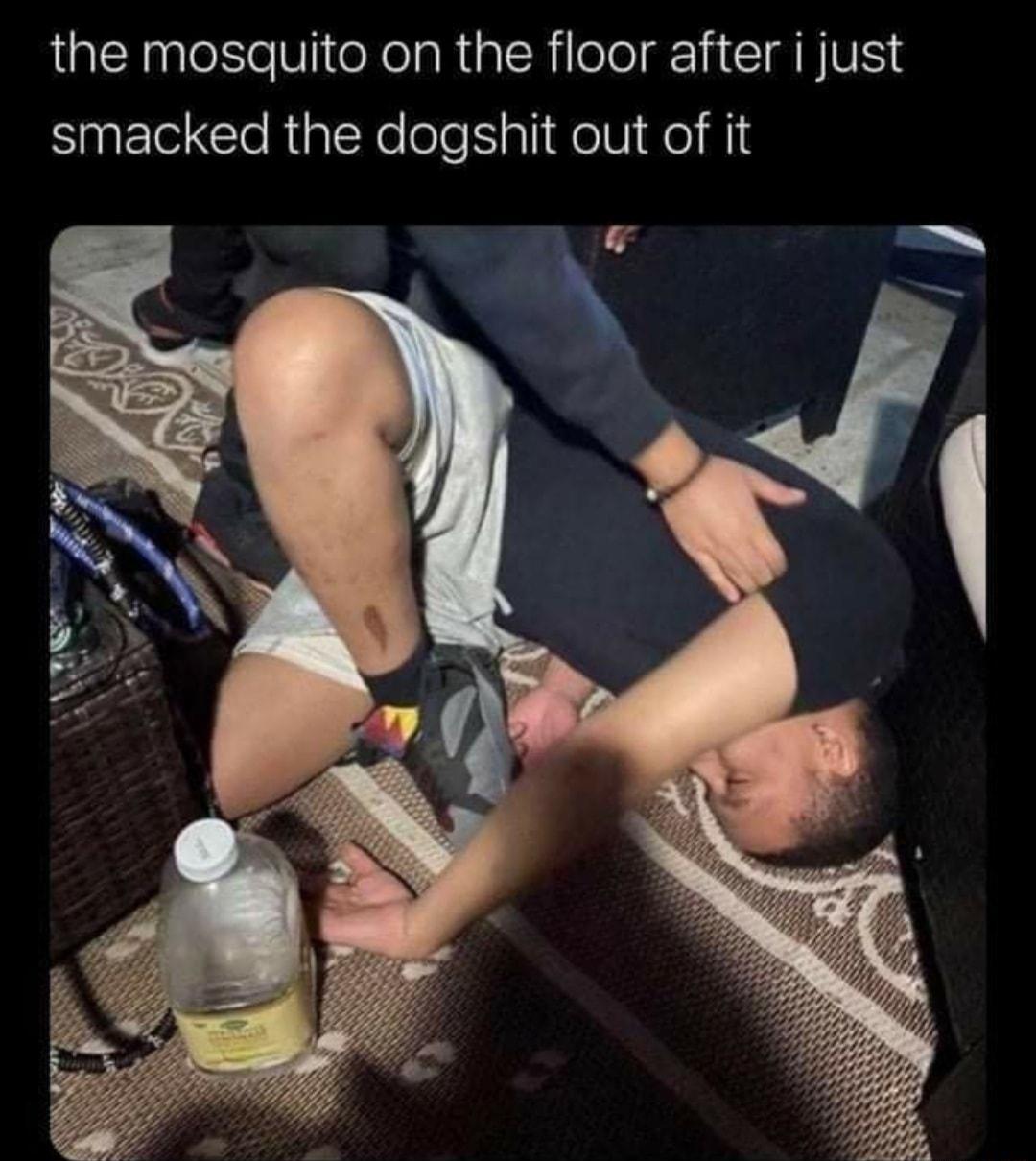 the mosquito on the floor after i just smacked the dogshit out of it