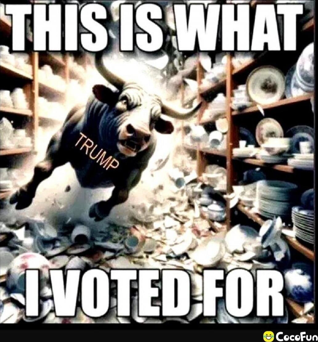 THIS IS WHAT TRUMP I VOTED FOR