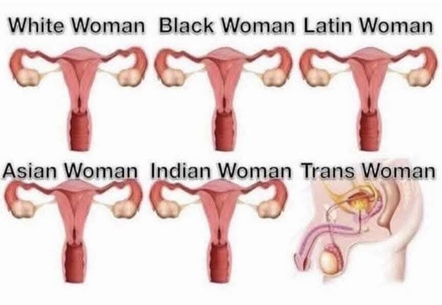 White Woman Black Woman Latin Woman Asian Woman Indian Woman Trans Woman