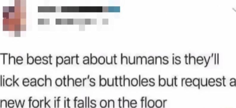 The best part about humans is theyll lick each others buttholes but request a new fork if it falls on the floor
