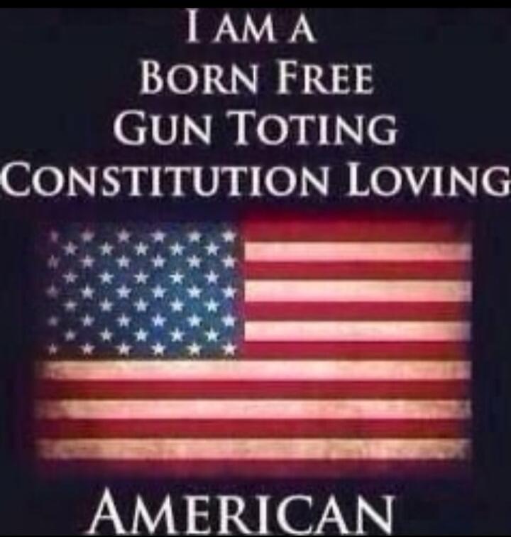 I AM A BORN FREE GUN TOTING CONSTITUTION LOVING AMERICAN