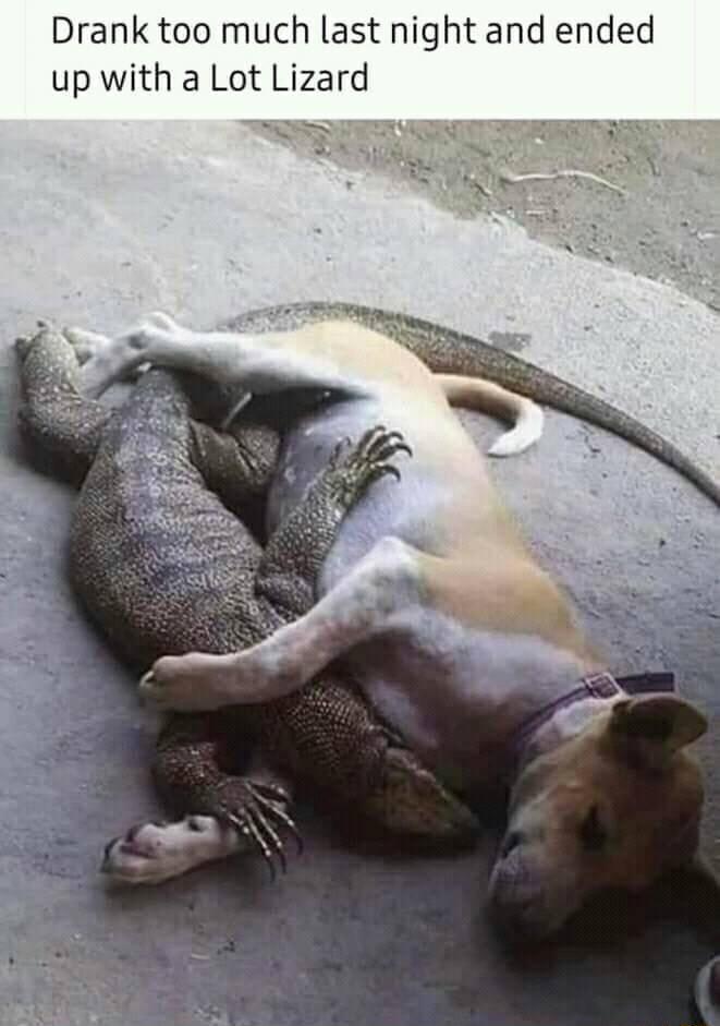 Drank too much last night and ended up with a Lot Lizard