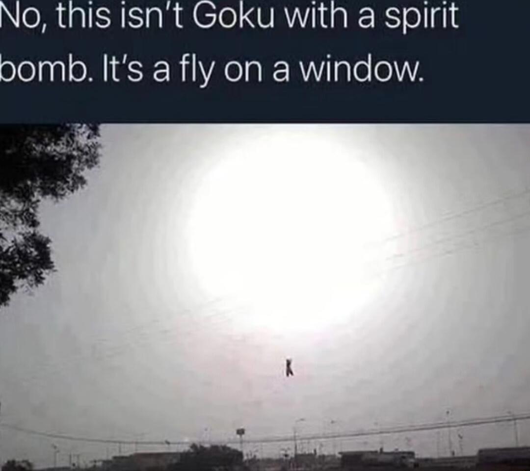 MRS sRAClel VR I g RRST ol oomb Its a fly on a window