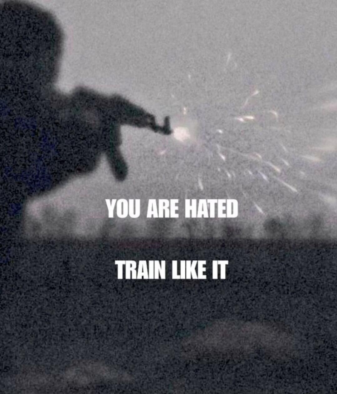 YOU ARE HATED TRAIN LIKE IT