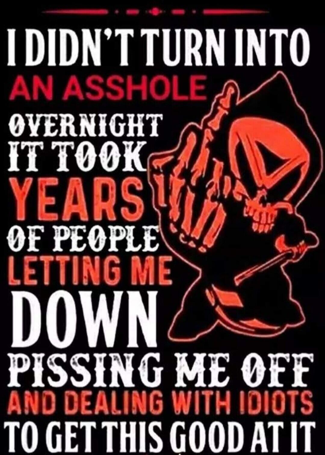 I DIDN'T TURN INTO AN ASSHOLE OVERNIGHT IT TOOK YEARS OF PEOPLE LETTING ME DOWN PISSING ME OFF AND DEALING WITH IDIOTS TO GET THIS GOOD AT IT