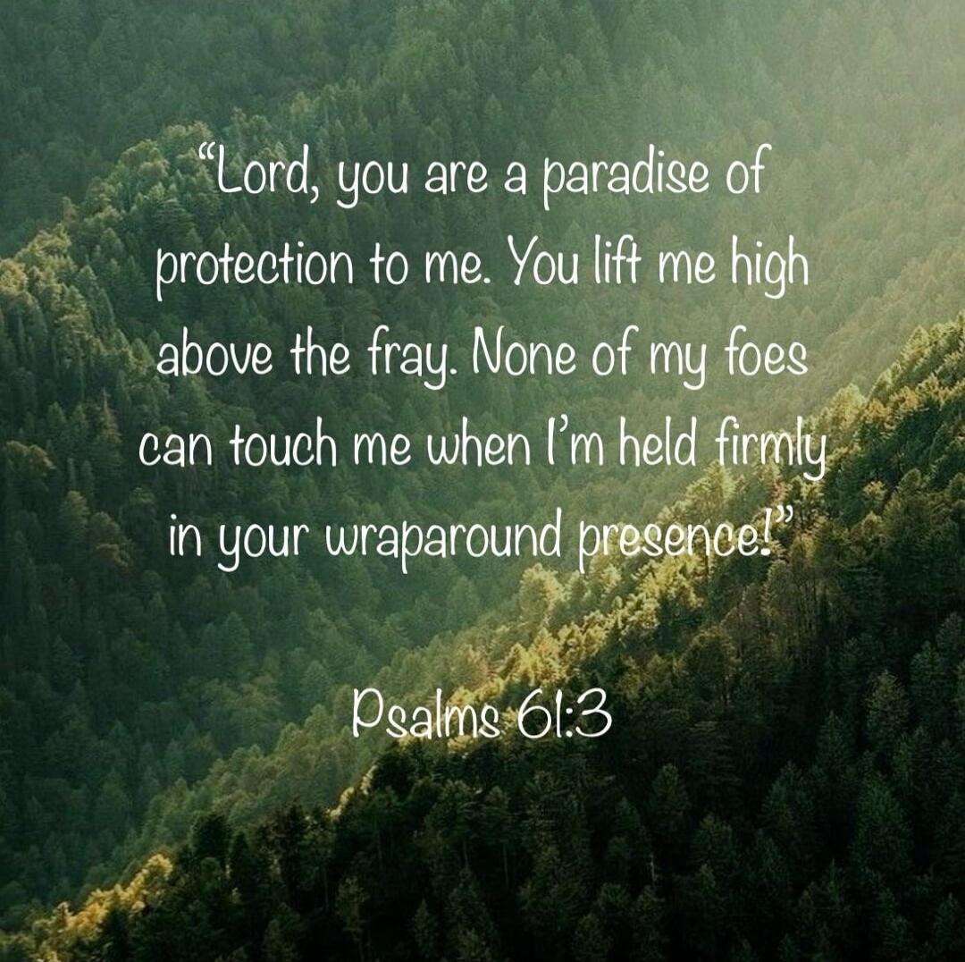 Lord, you are a paradise of protection to me. You lift me high above the fray. None of my foes can touch me when I’m held firmly in your wraparound presence. Psalms 61:3