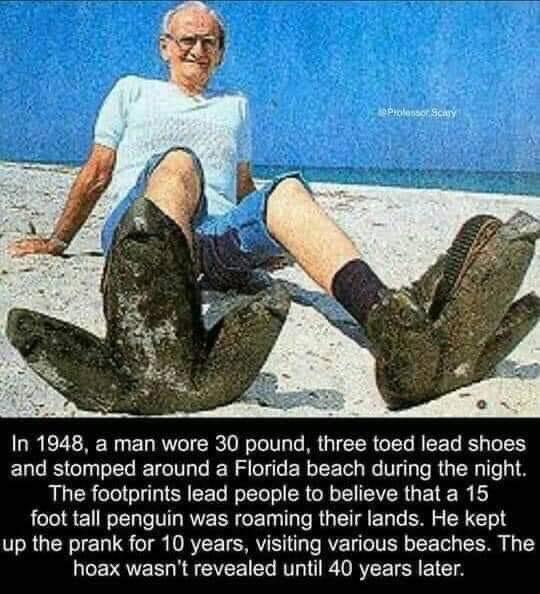 In 1948 a man wore 30 pound three toed lead shoes and stomped around a Florida beach during the night The footprints lead people to believe that a 15 foot tall penguin was roaming their lands He kept up the prank for 10 years visiting various beaches The hoax wasnt revealed until 40 years later