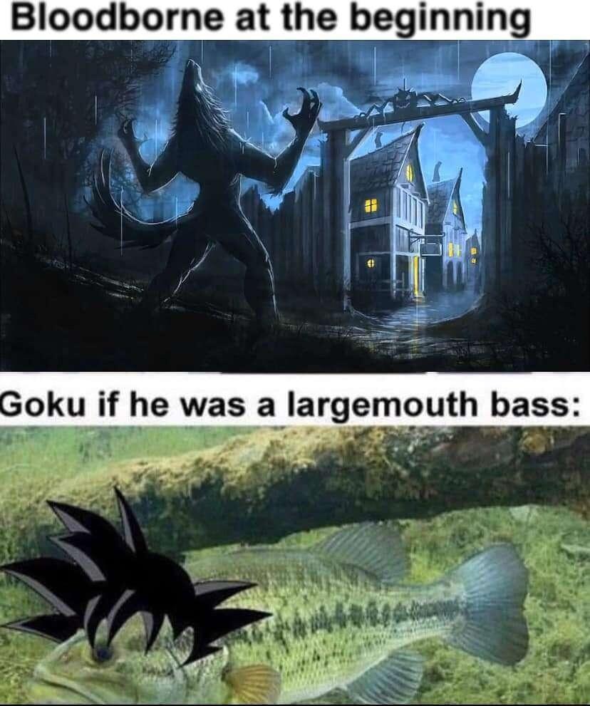 Bloodborne at he beginning