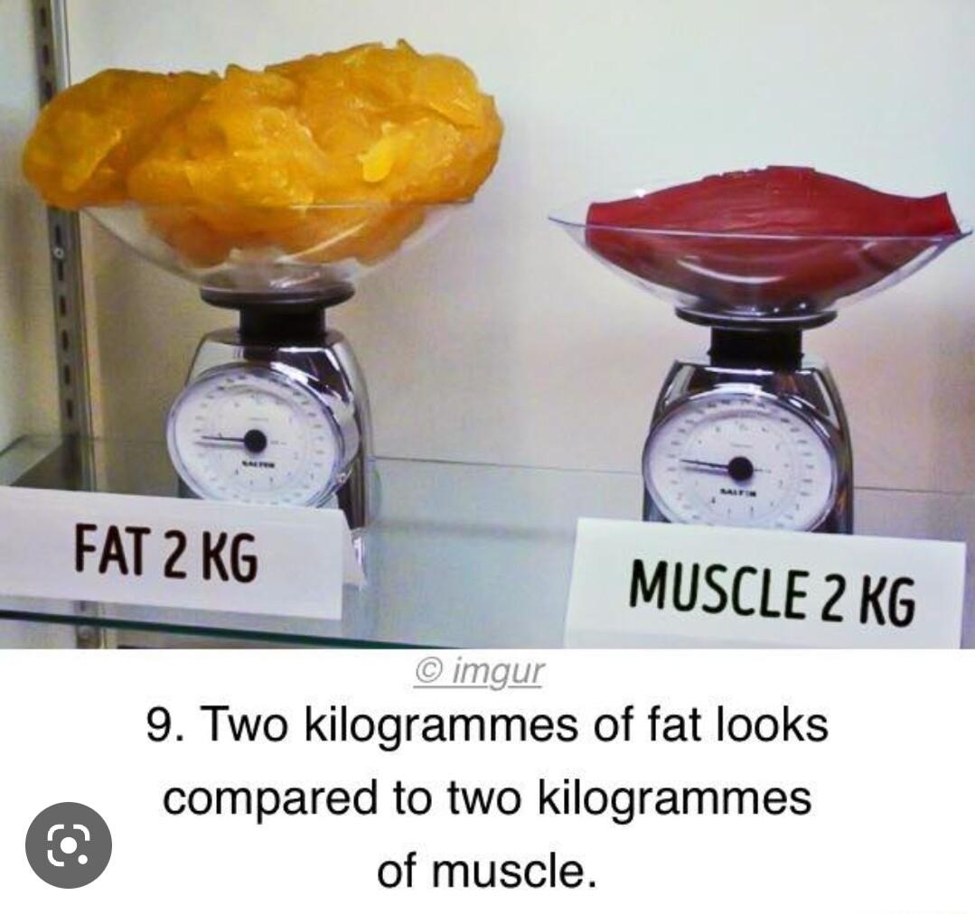 9 Two kilogrammes of fat looks compared to two kilogrammes of muscle