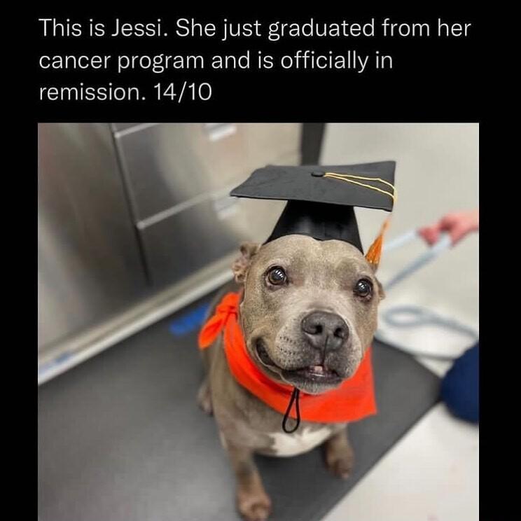 This is Jessi She just graduated from her cancer program and is officially in CUIES T I EA0