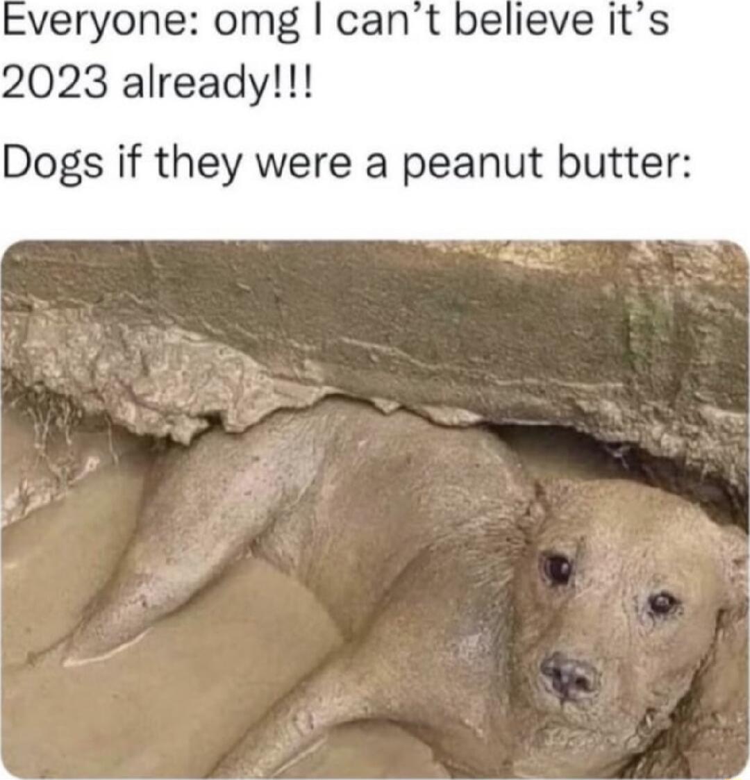 veryone omg cant believe its 2023 already Dogs if they were a peanut butter