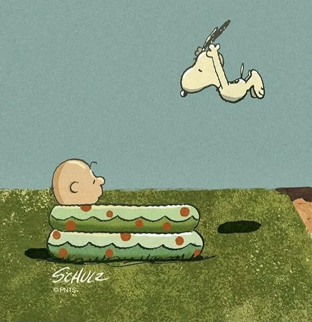 SCHULZ ©PNTS