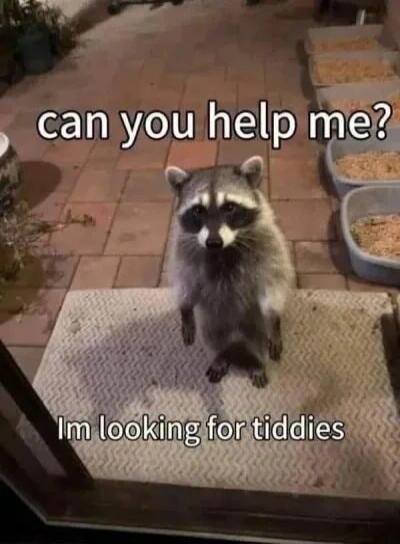 can you help me? I'm looking for tiddies