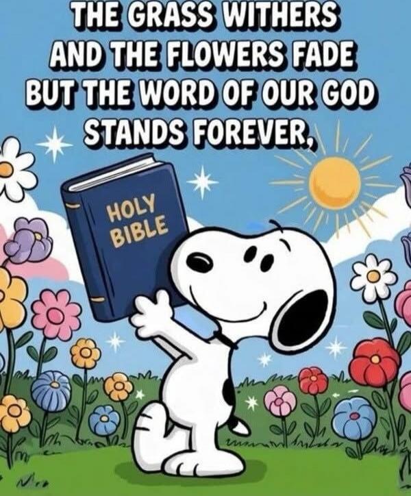 THE GRASS WITHERS AND THE FLOWERS FADE BUT THE WORD OF OUR GOD STANDS FOREVER. HOLY BIBLE (Snoopy holding a Bible)