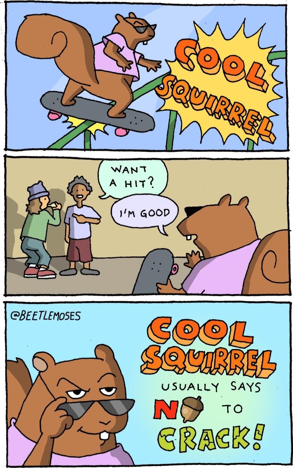 CeoL SQURREL USUALLY SAYS