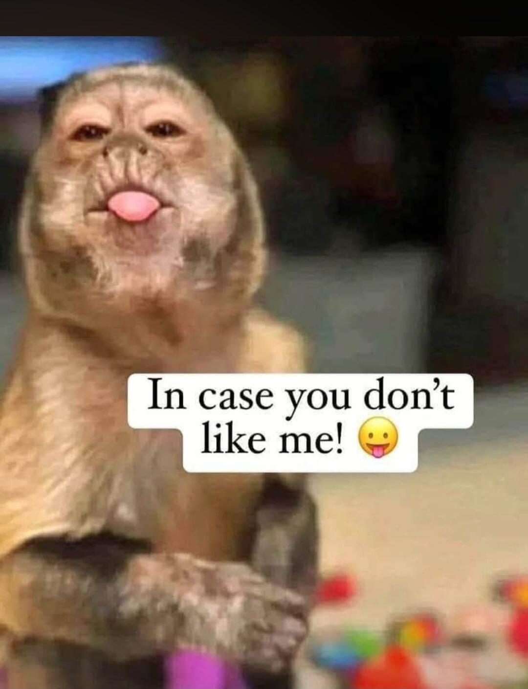 In case you don't like me! 😉