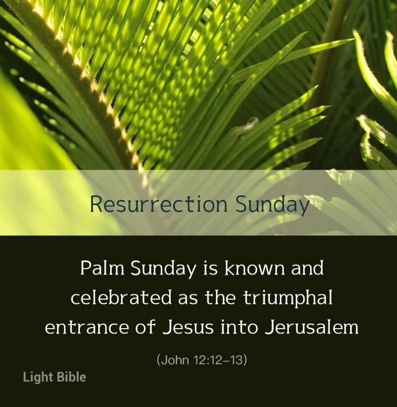 Resurrection Sunday Palm Sunday is known and celebrated as the triumphal entrance of Jesus into Jerusalem (John 12:12-13) Light Bible