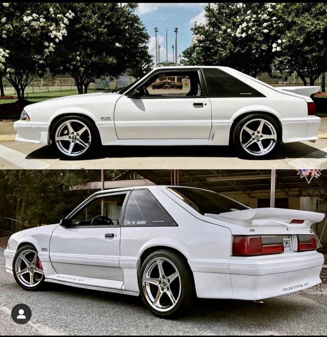 MUSTANG GT 5.0 @the_fox_chamber