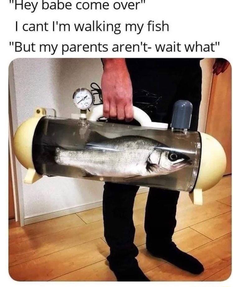 Hey babe come over cant Im walking my fish But my parents arent wait what Fr