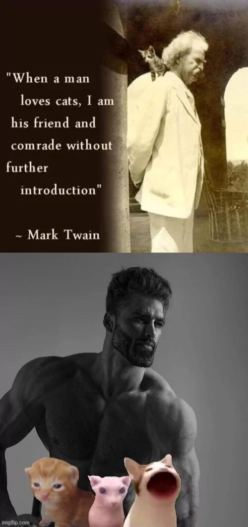 When a man loves cats I am his friend and NPT R TS further introduction Mark Twain