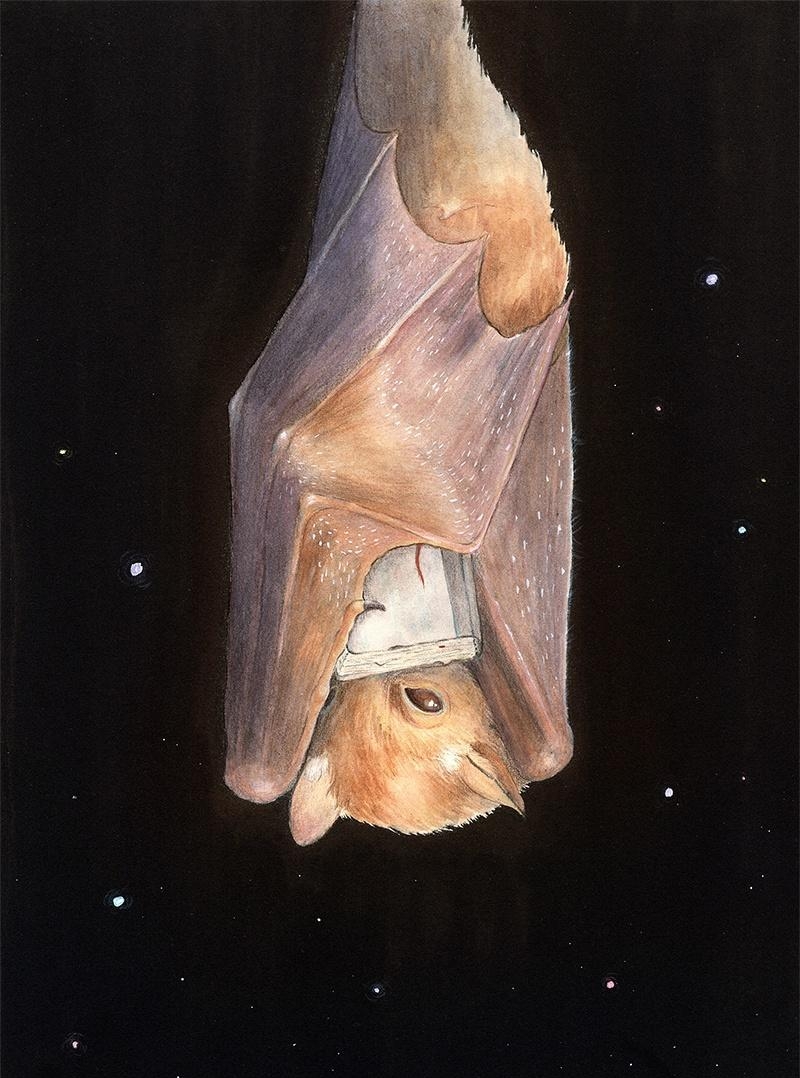 Sandra Schischa sandraschischaarl