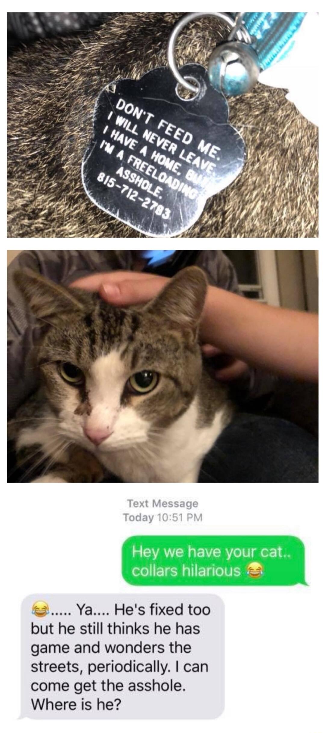 Hey we have your cat collars hilarious 2 2 Ya Hes fixed too but he still thinks he has game and wonders the streets periodically can come get the asshole Where is he